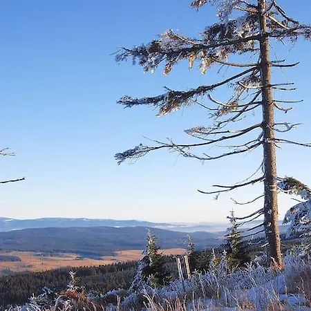 Idylla - In Lower Silesia Дом отдыха